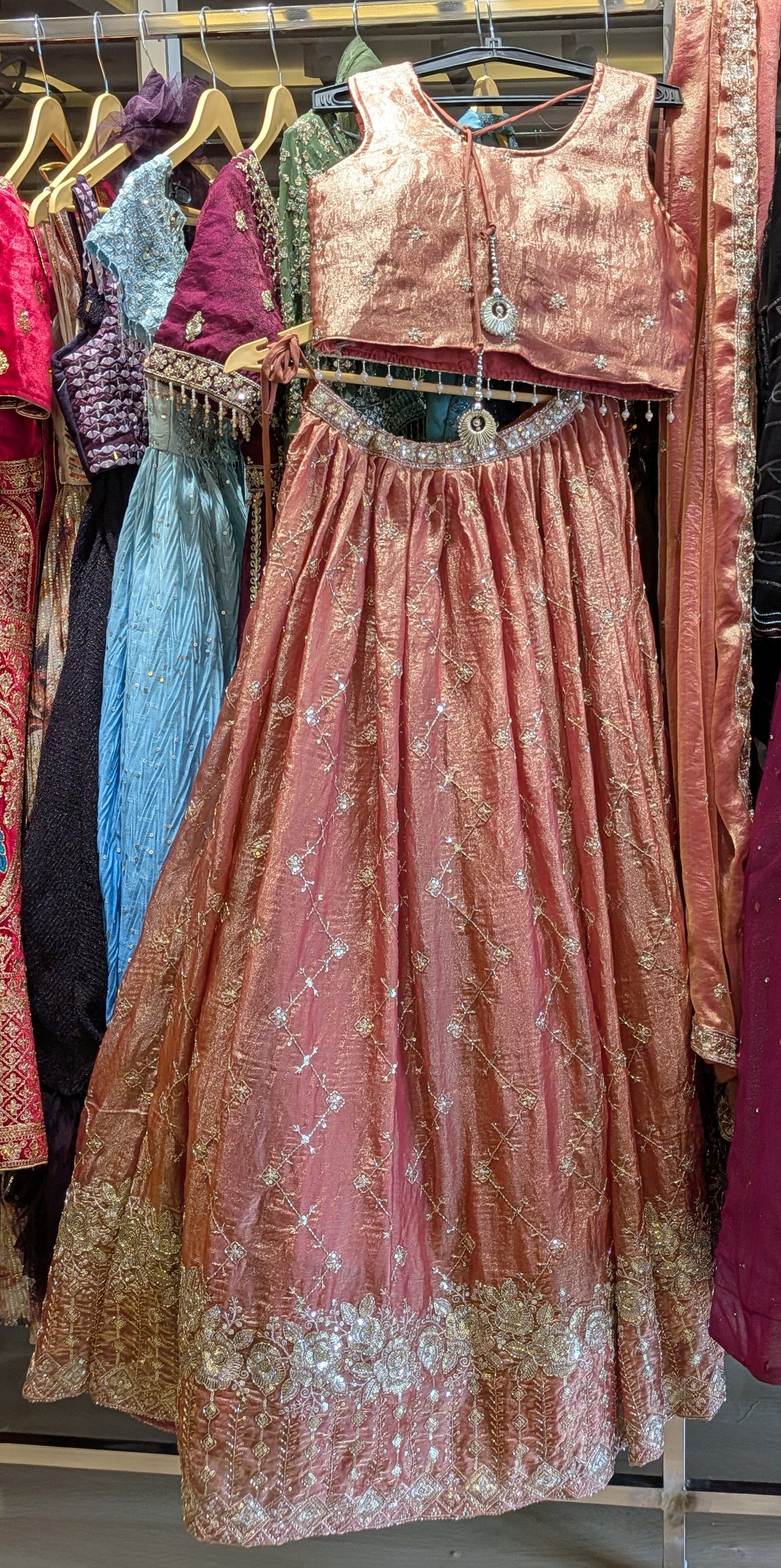 Vintage Rose & Gold Zari Ensemble