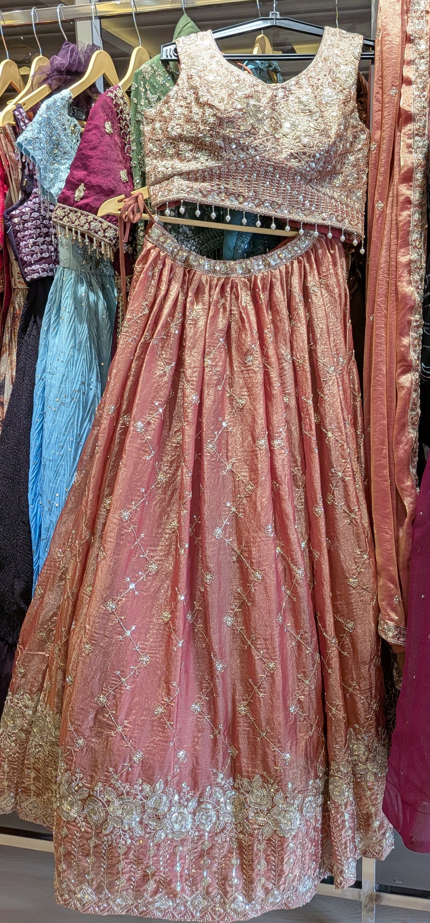 Vintage Rose & Gold Zari Ensemble